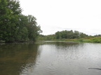 IMG 4437